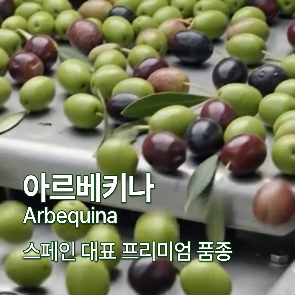 섬네일이미지.