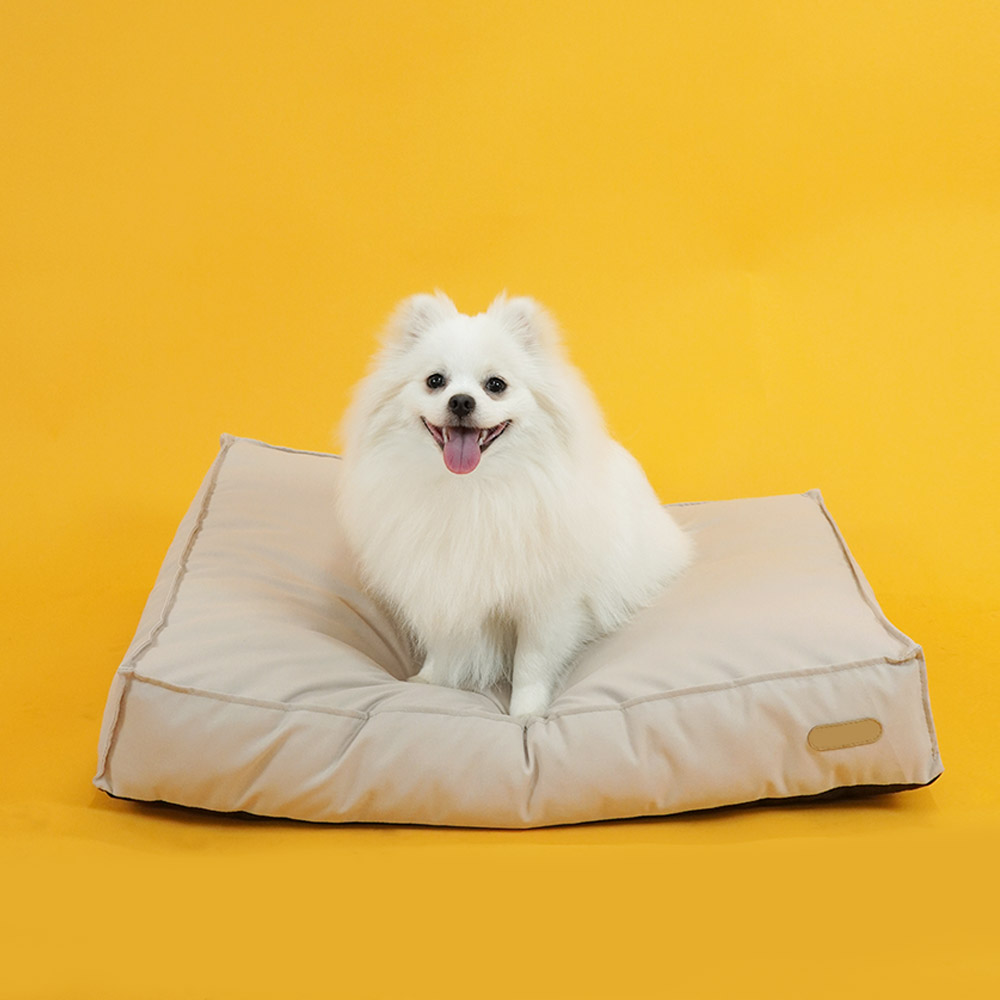 섬네일이미지.