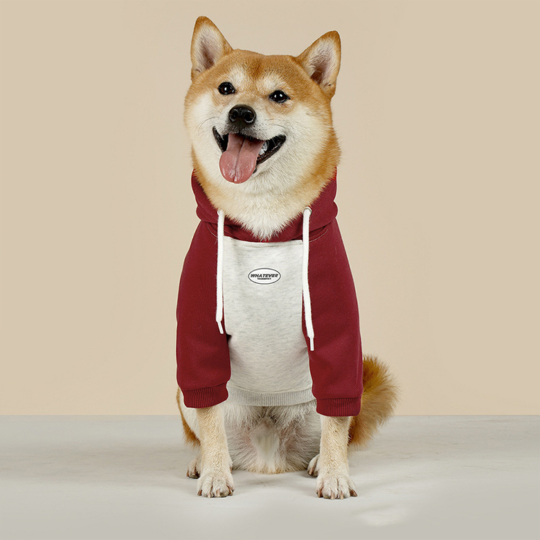 섬네일이미지.