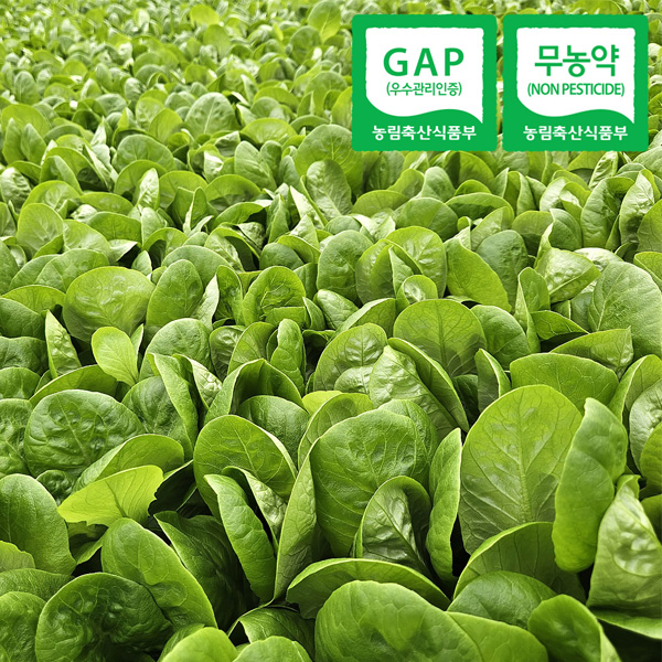 섬네일이미지.