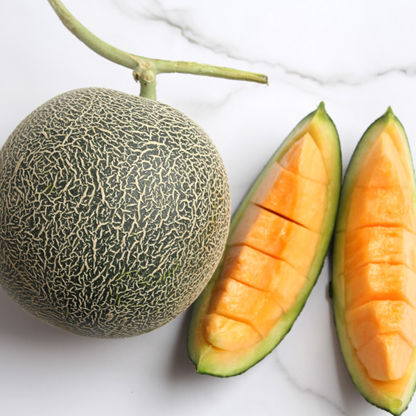 섬네일이미지.