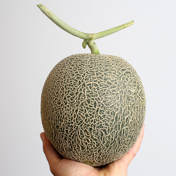 섬네일이미지.