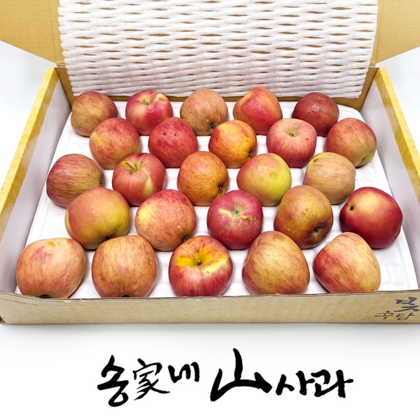 섬네일이미지.