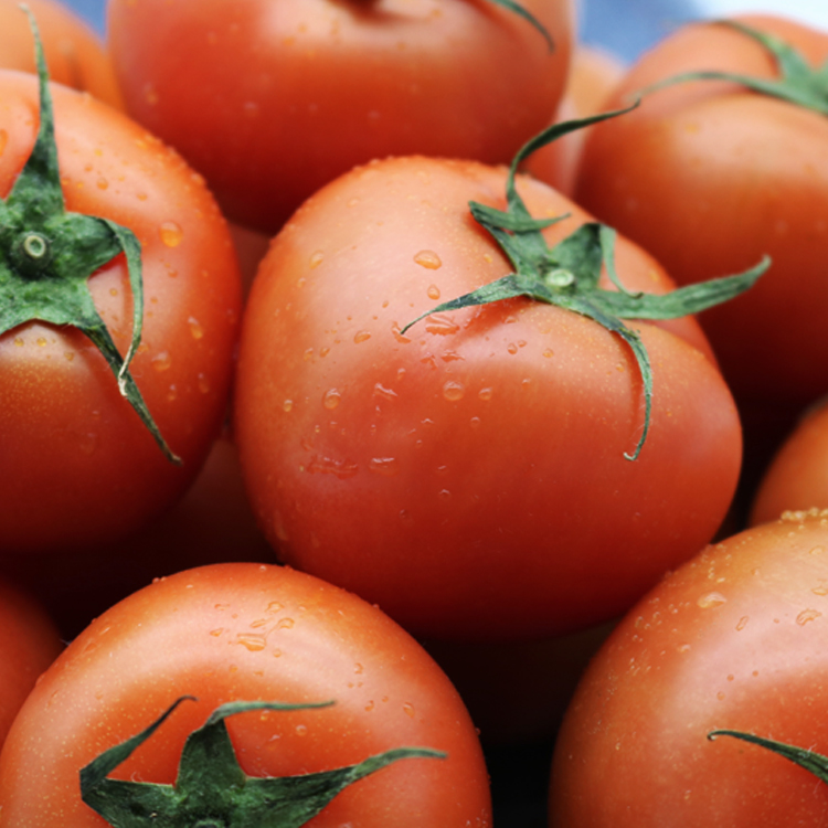 섬네일이미지.