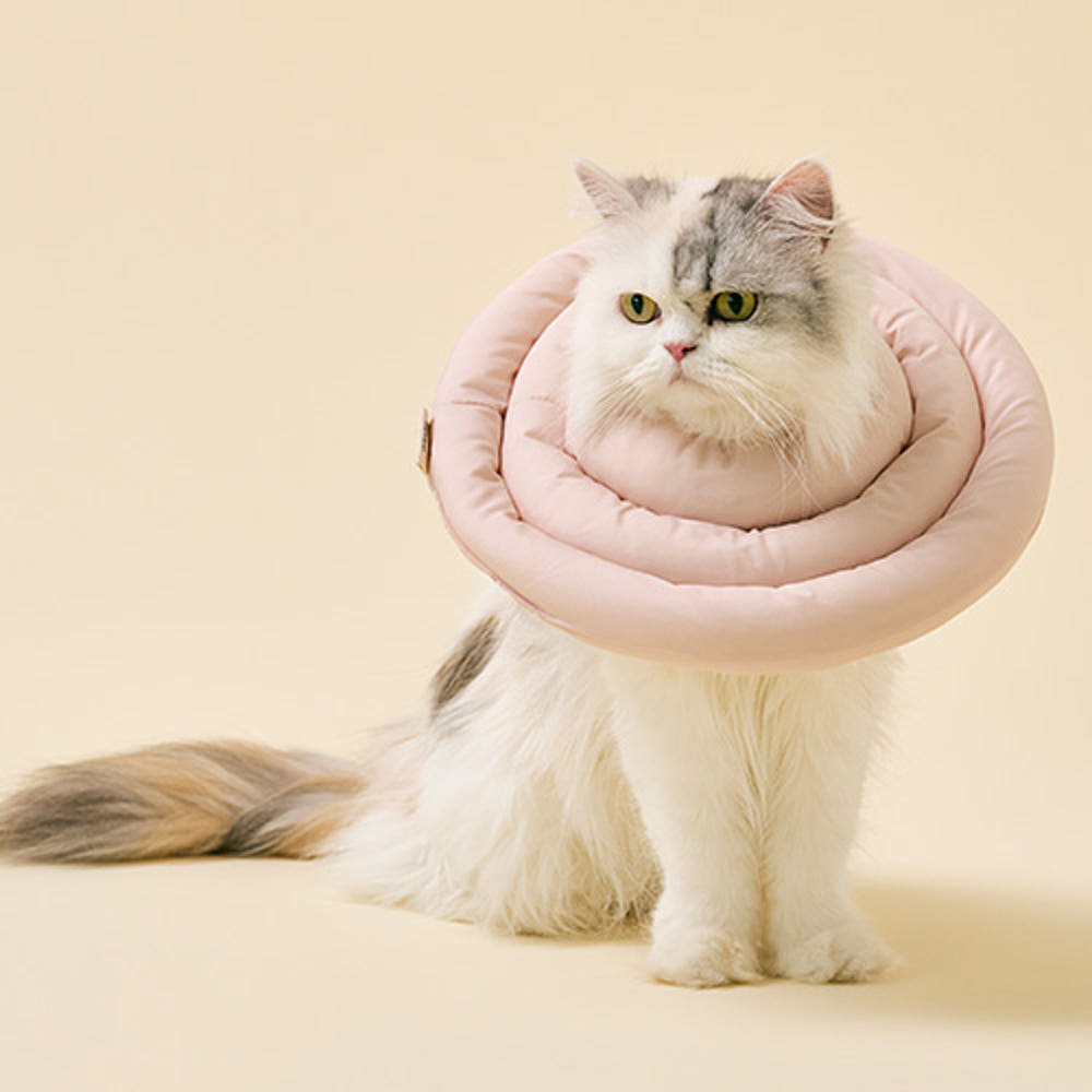 섬네일이미지.