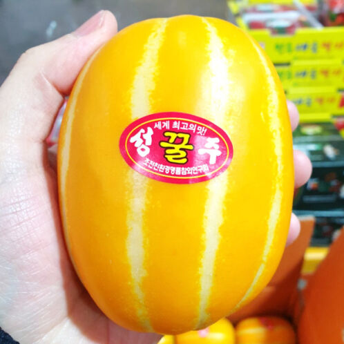 섬네일이미지.
