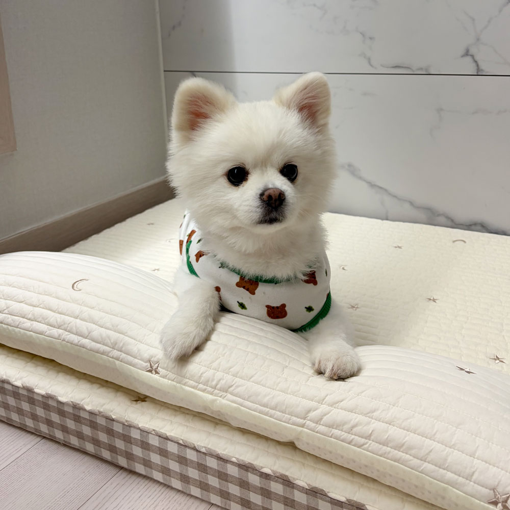 섬네일이미지.