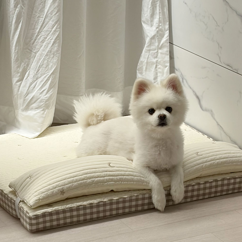 섬네일이미지.