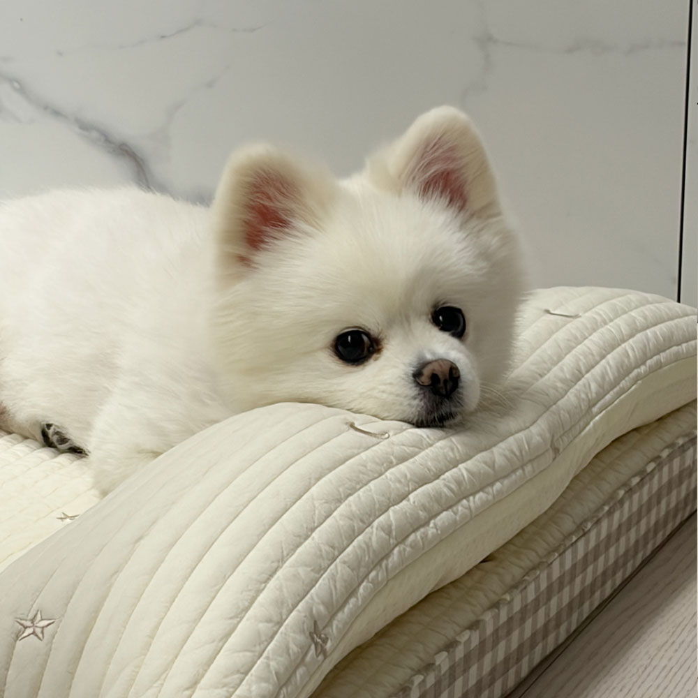 섬네일이미지.