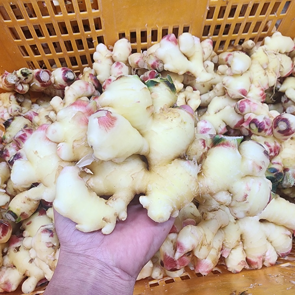 섬네일이미지.