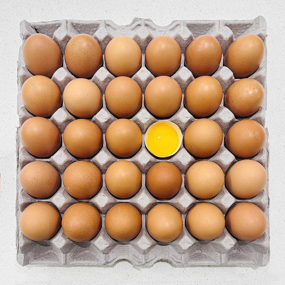 섬네일이미지.