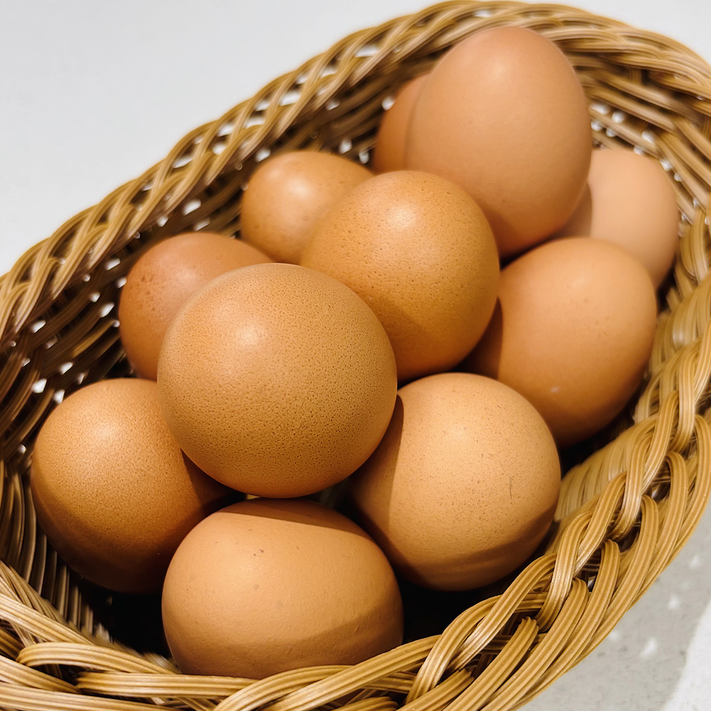 섬네일이미지.