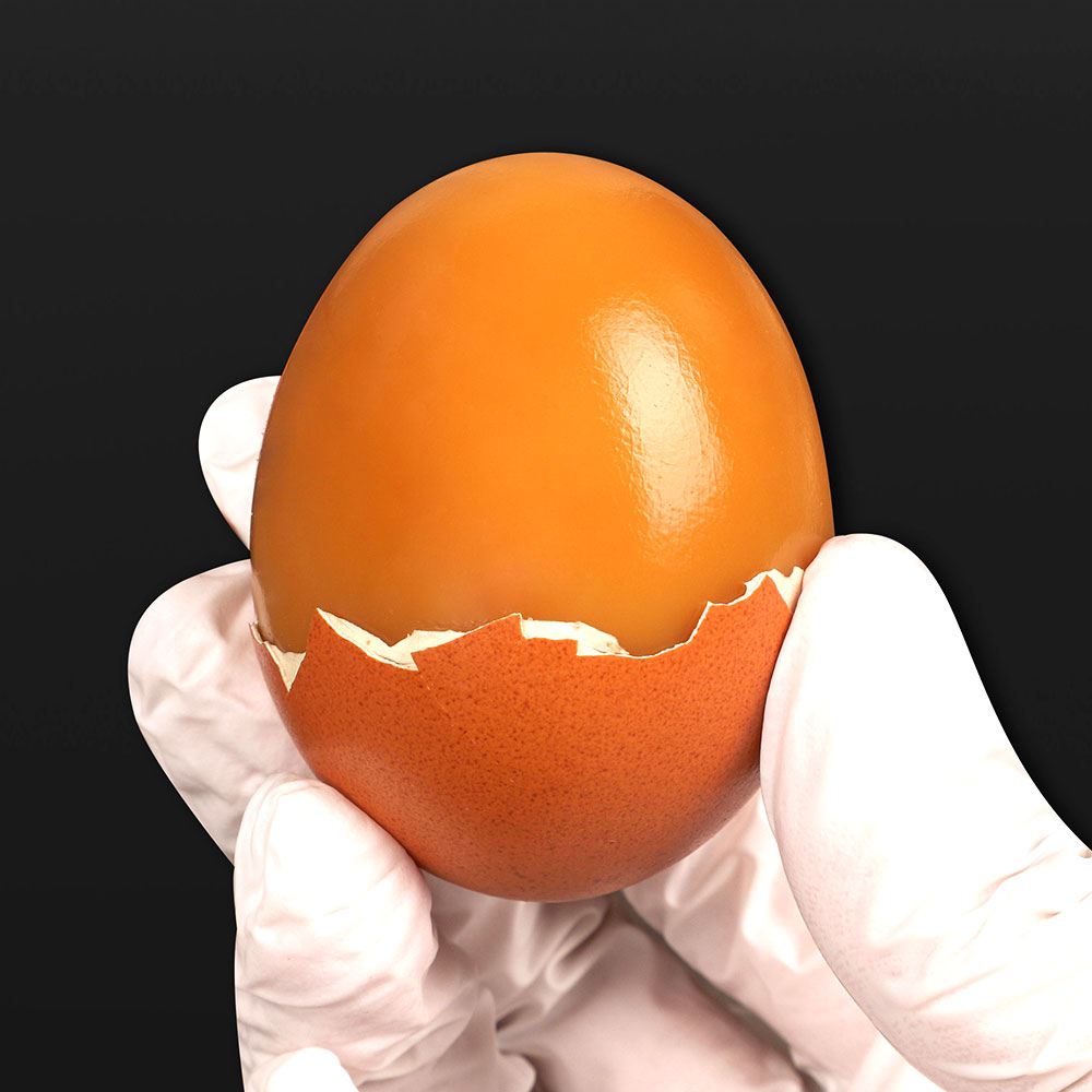 섬네일이미지.