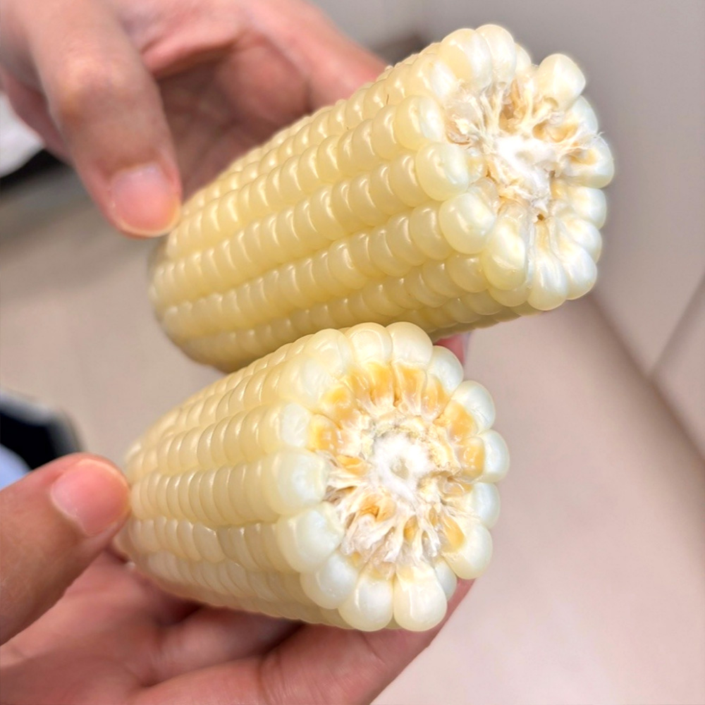 섬네일이미지.