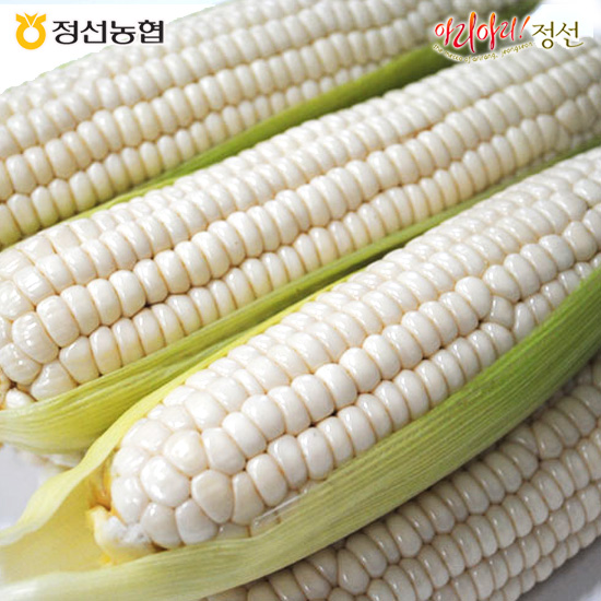 섬네일이미지.