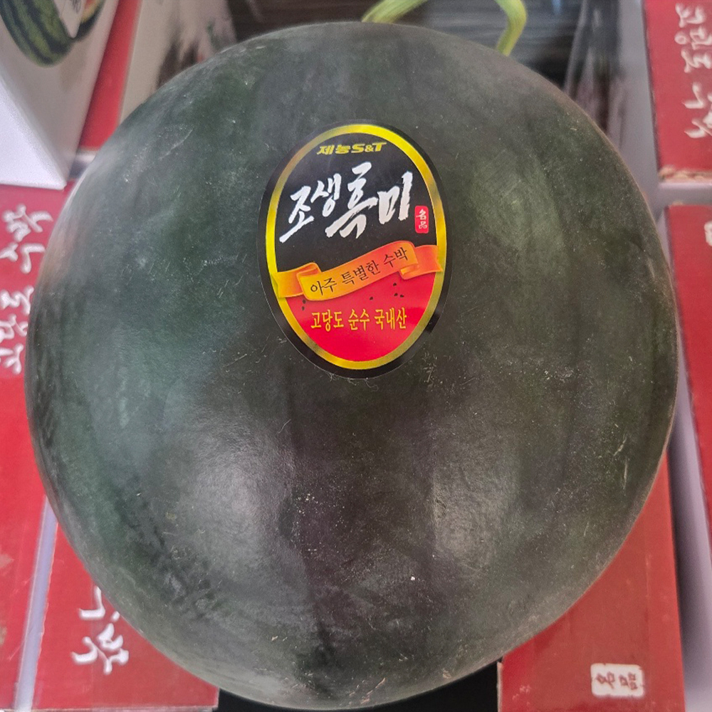 섬네일이미지.