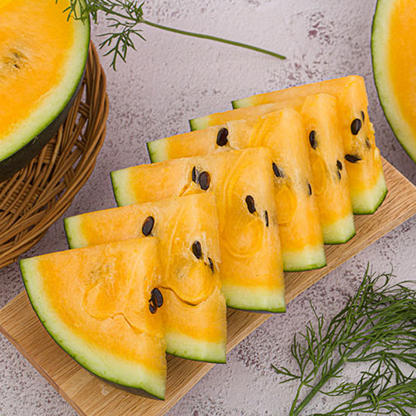 섬네일이미지.