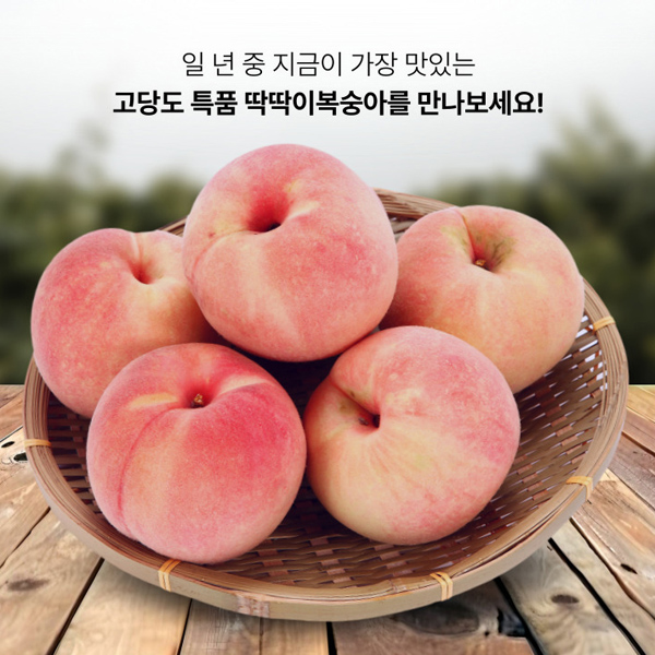 섬네일이미지.