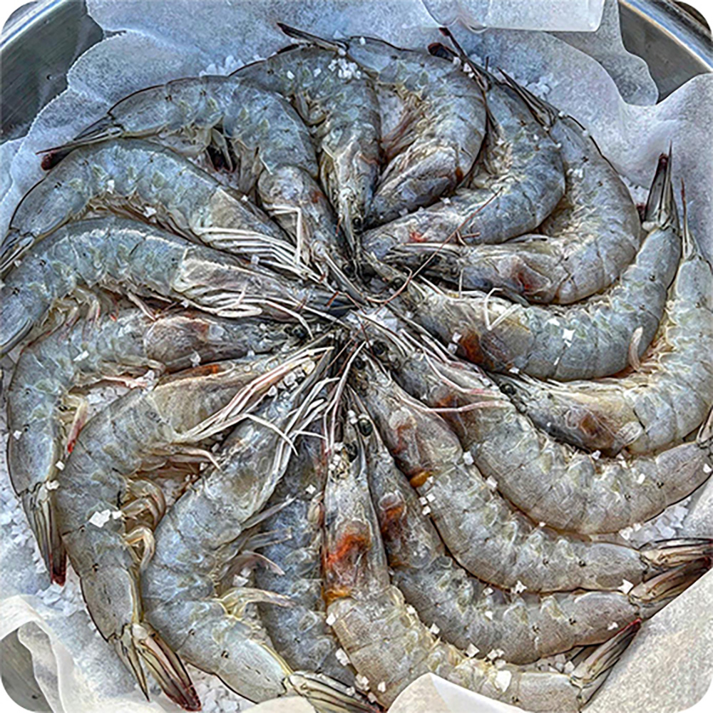섬네일이미지.