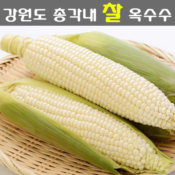 섬네일이미지.