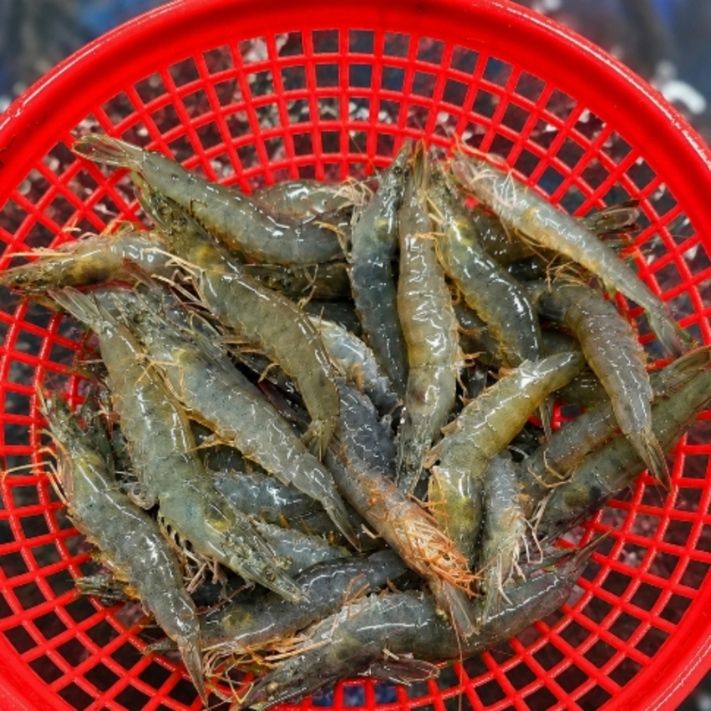 섬네일이미지.