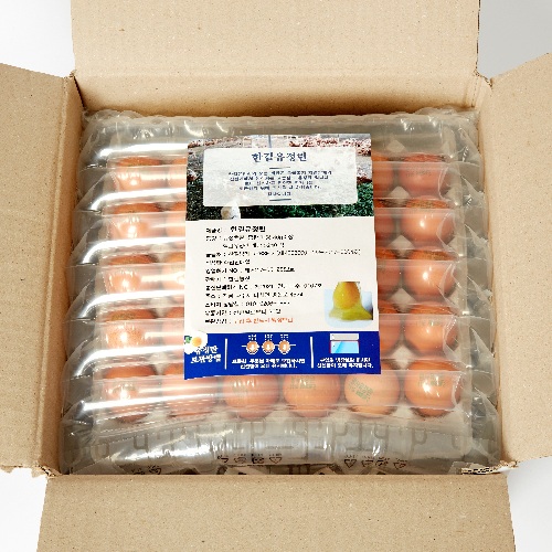 섬네일이미지.