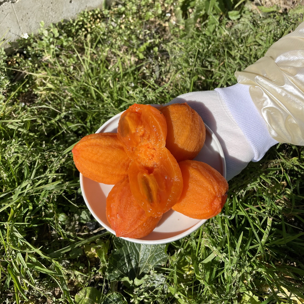 섬네일이미지.