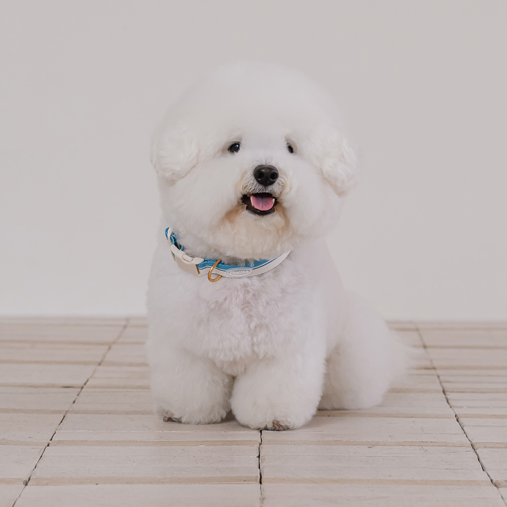 섬네일이미지.