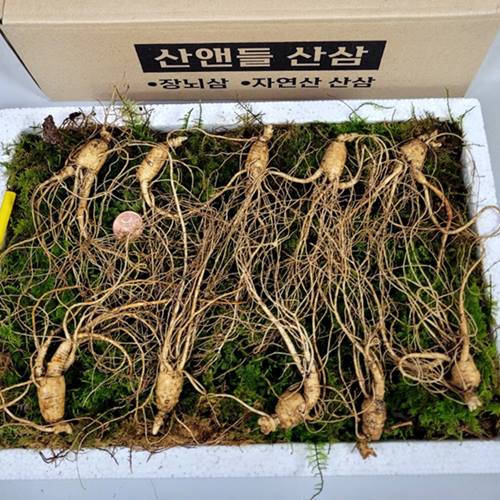 섬네일이미지.