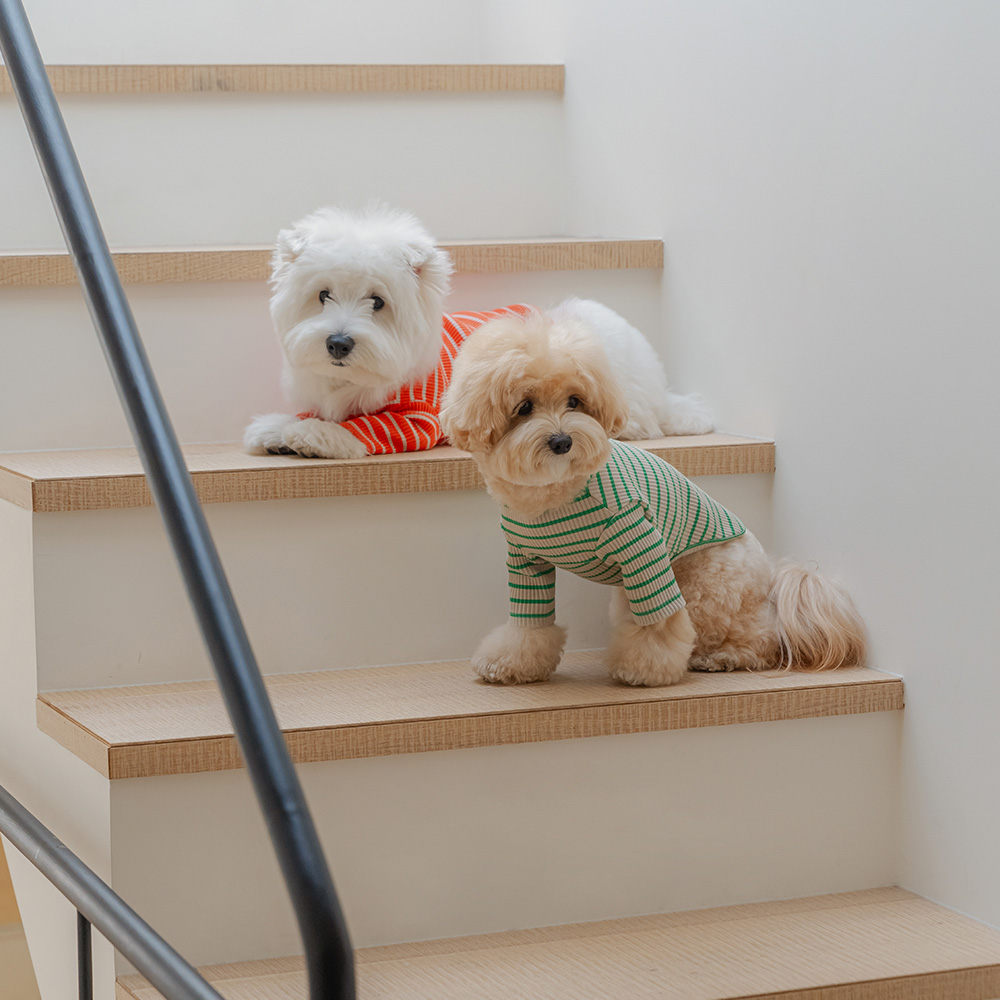 섬네일이미지.