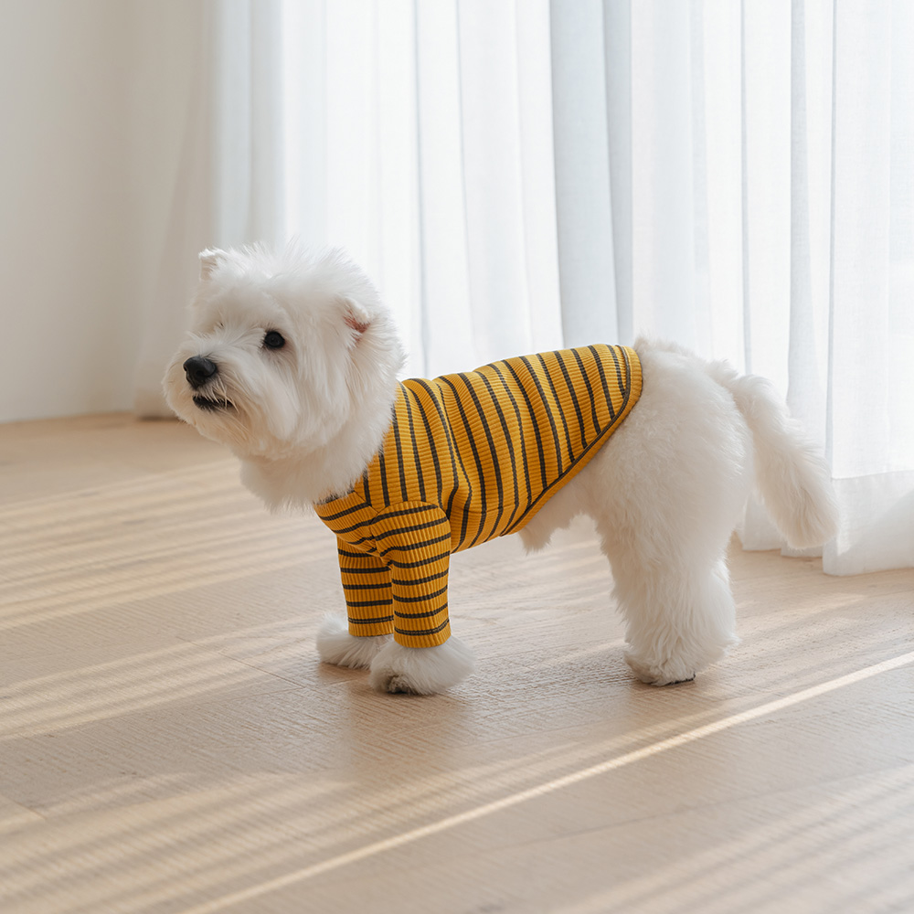 섬네일이미지.