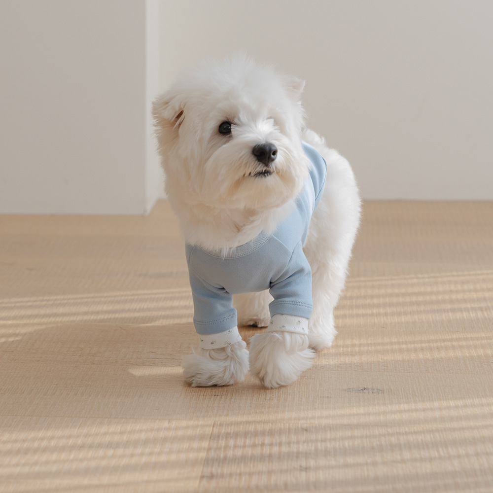 섬네일이미지.