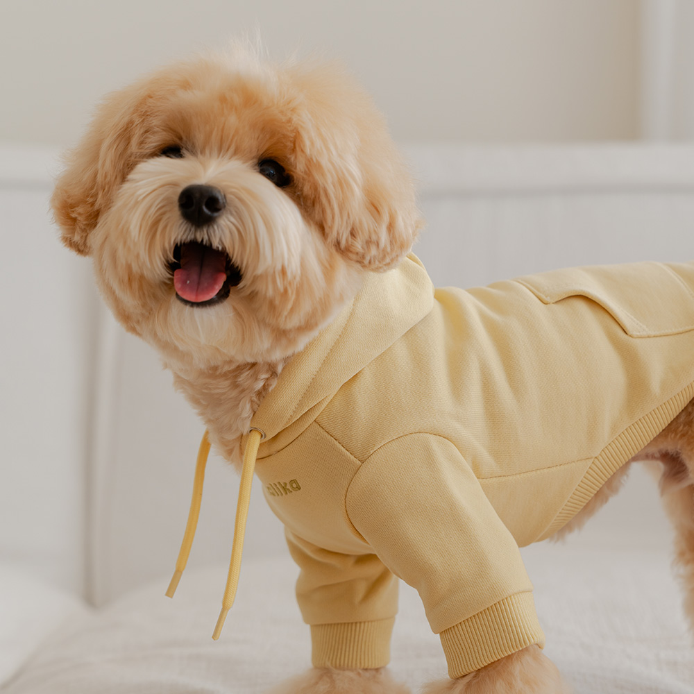 섬네일이미지.