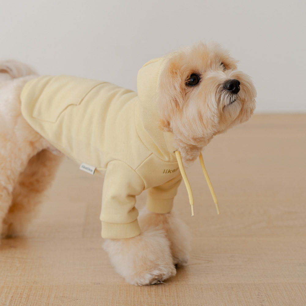 섬네일이미지.