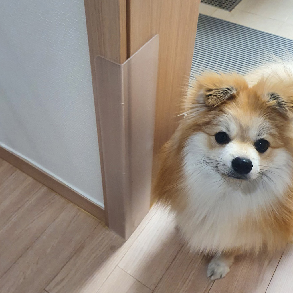 섬네일이미지.