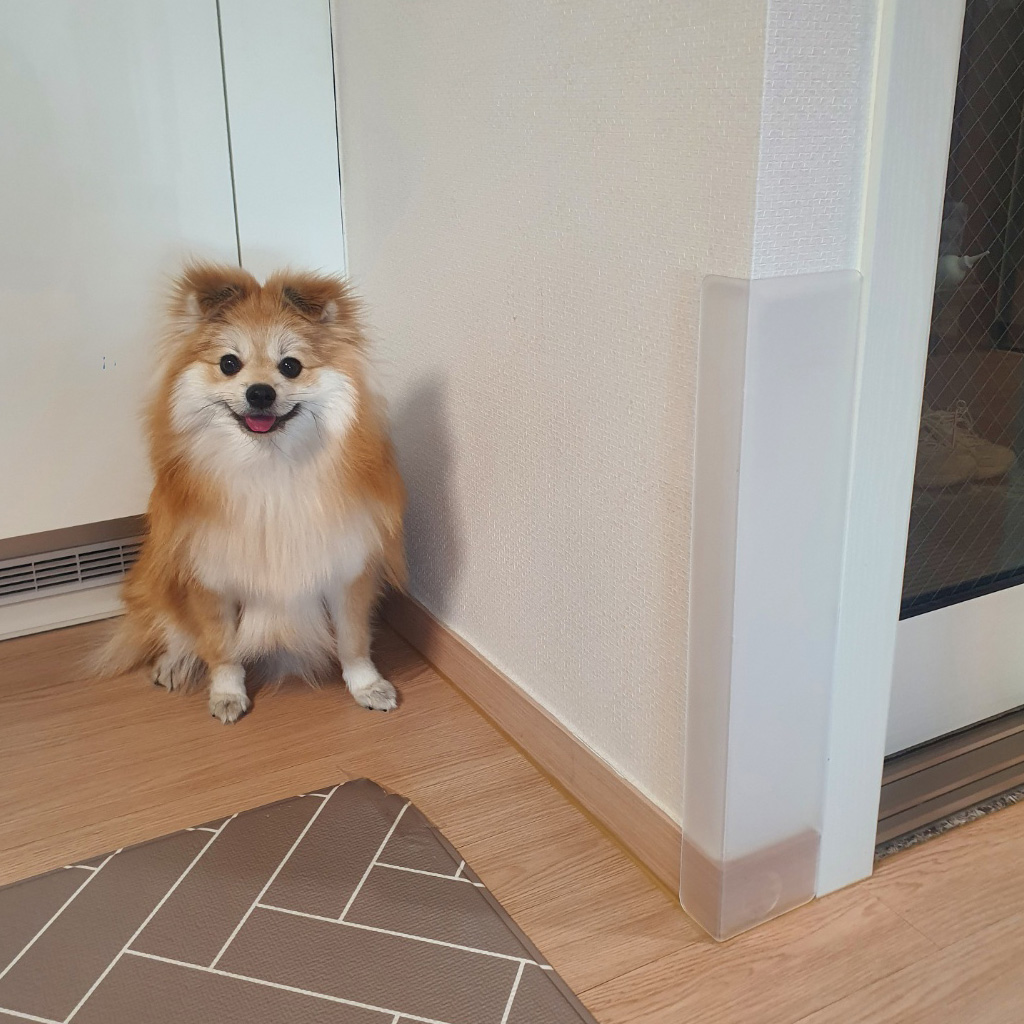 섬네일이미지.