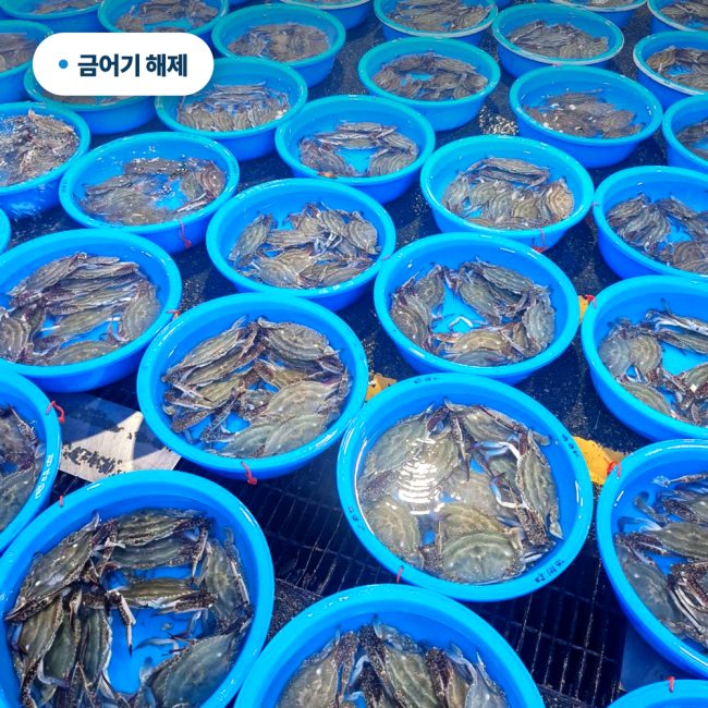 섬네일이미지.