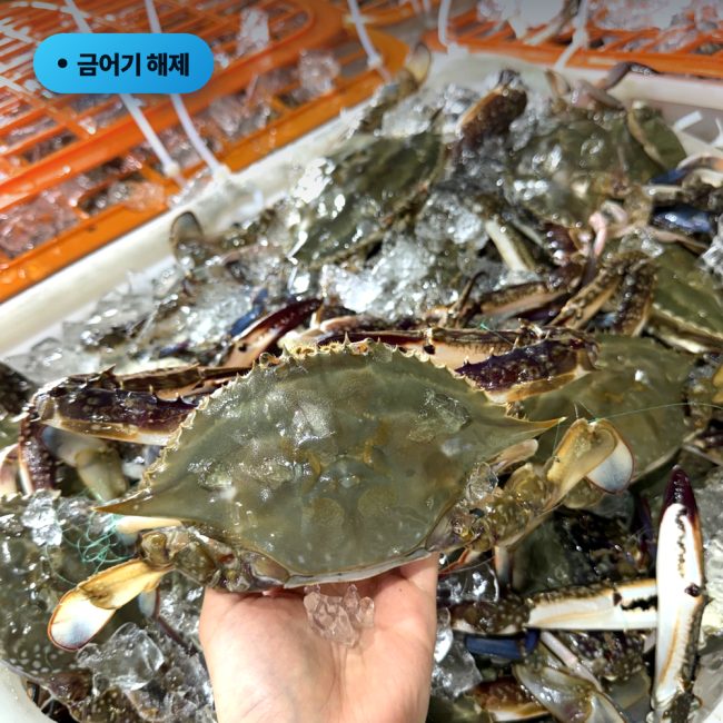 섬네일이미지.