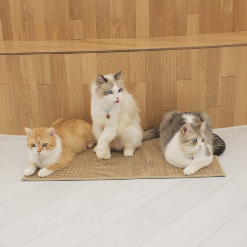 섬네일이미지.