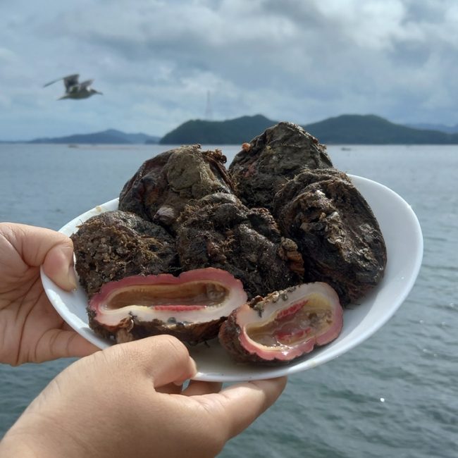 섬네일이미지.