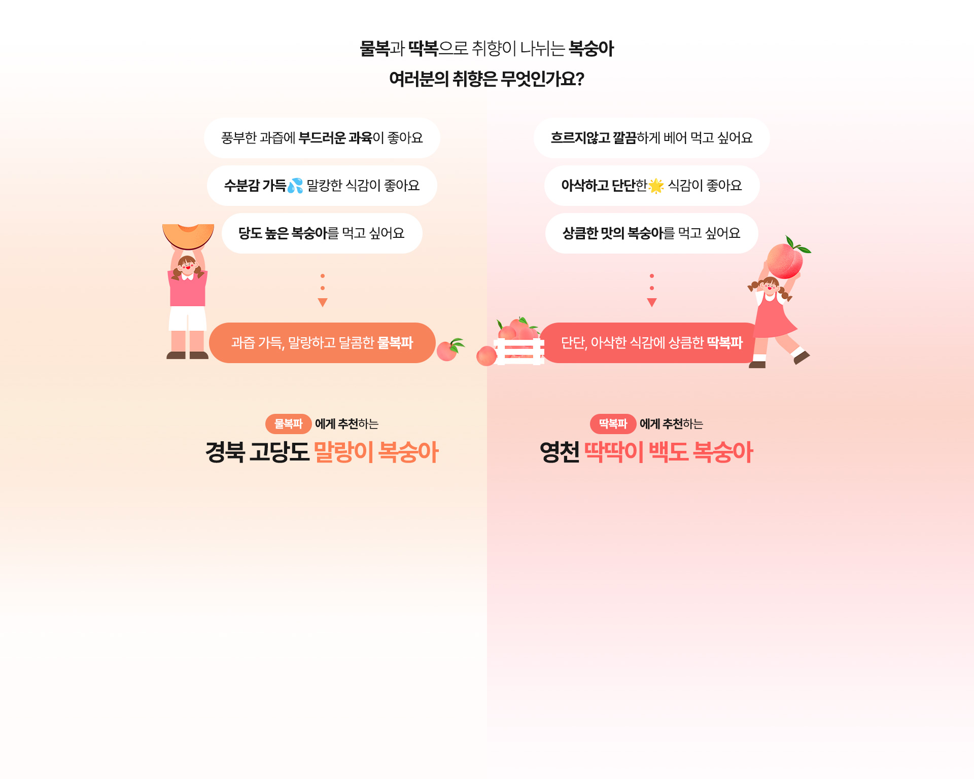 md추천