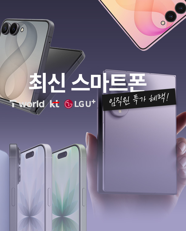 메인
