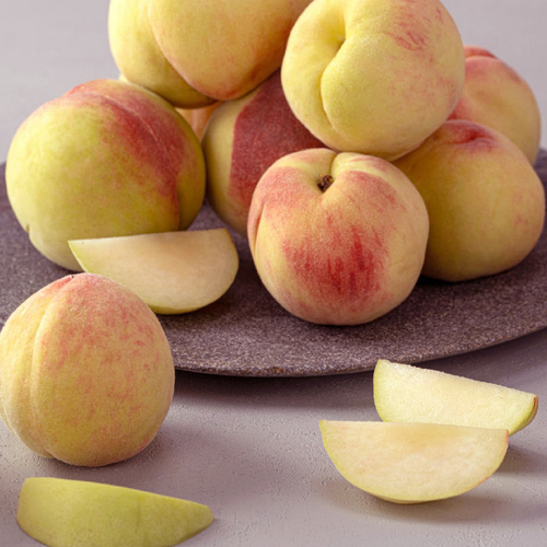 섬네일이미지