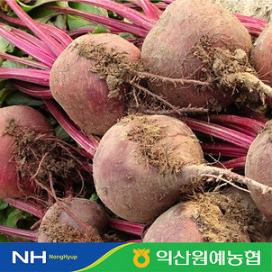 상품썸네일