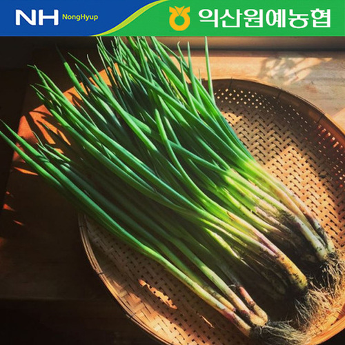 섬네일이미지