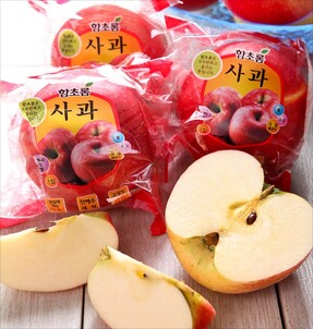 상품썸네일