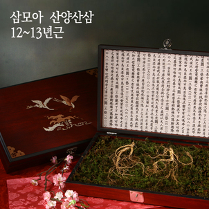상품썸네일