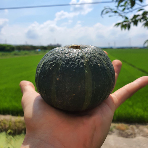 섬네일이미지