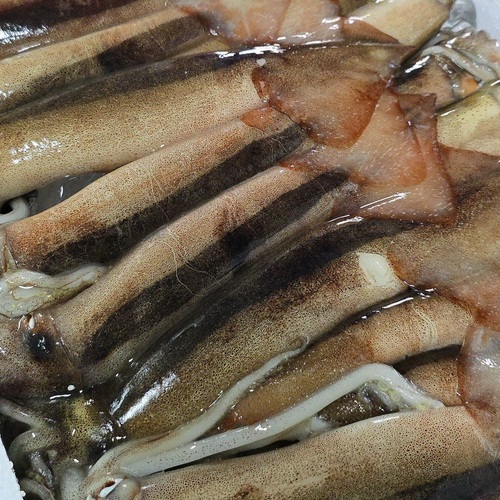 섬네일이미지