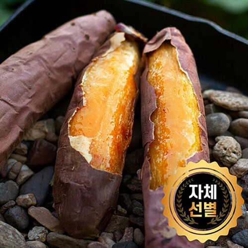 섬네일이미지